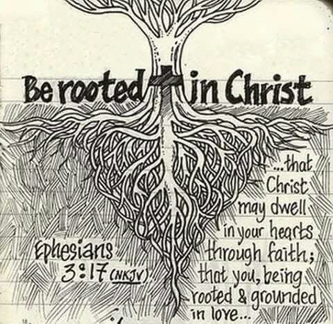 an old book with the words be rooted in christ