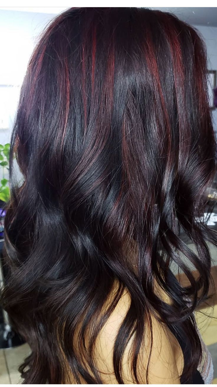 Cranberry Highlights Hair Dark Brown, Red Cherry Highlights On Black Hair, Dark Red Skunk Hair, Colors To Dye Ur Hair, Cherry Black Highlights, Black Hair With Red Lowlights, Dark Red Streaks In Black Hair, Red Hair With Dark Lowlights, Black Cherry Highlights On Black Hair