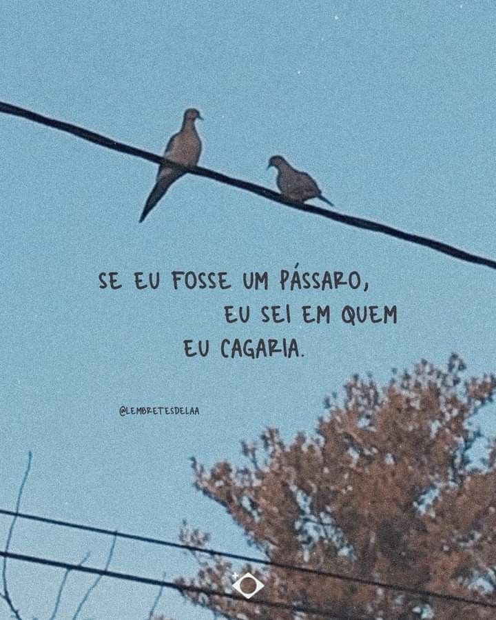 two birds sitting on an electric wire with the words seu fose um pasao, eu sel em quem eu cagaria