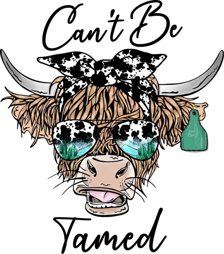 a cow wearing sunglasses with the words, can't be tamed on it