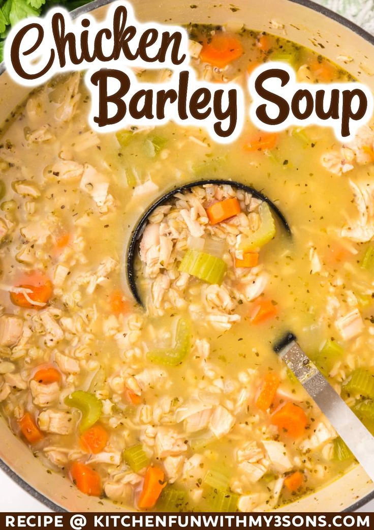 chicken barley soup in a pot with a ladle