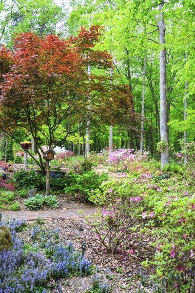 the garden is full of colorful flowers and trees