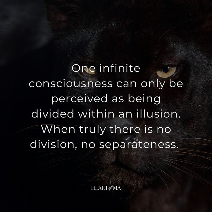 a black cat with the quote one infinite consciousness can only be perceved as being divided within an illusion when truly there is no division, no separateness