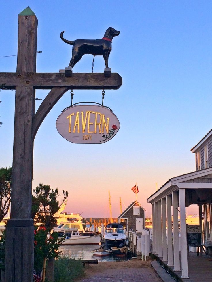 a sign that is on the side of a building with a dog standing on it