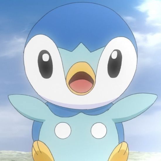 a close up of a cartoon penguin near the ocean