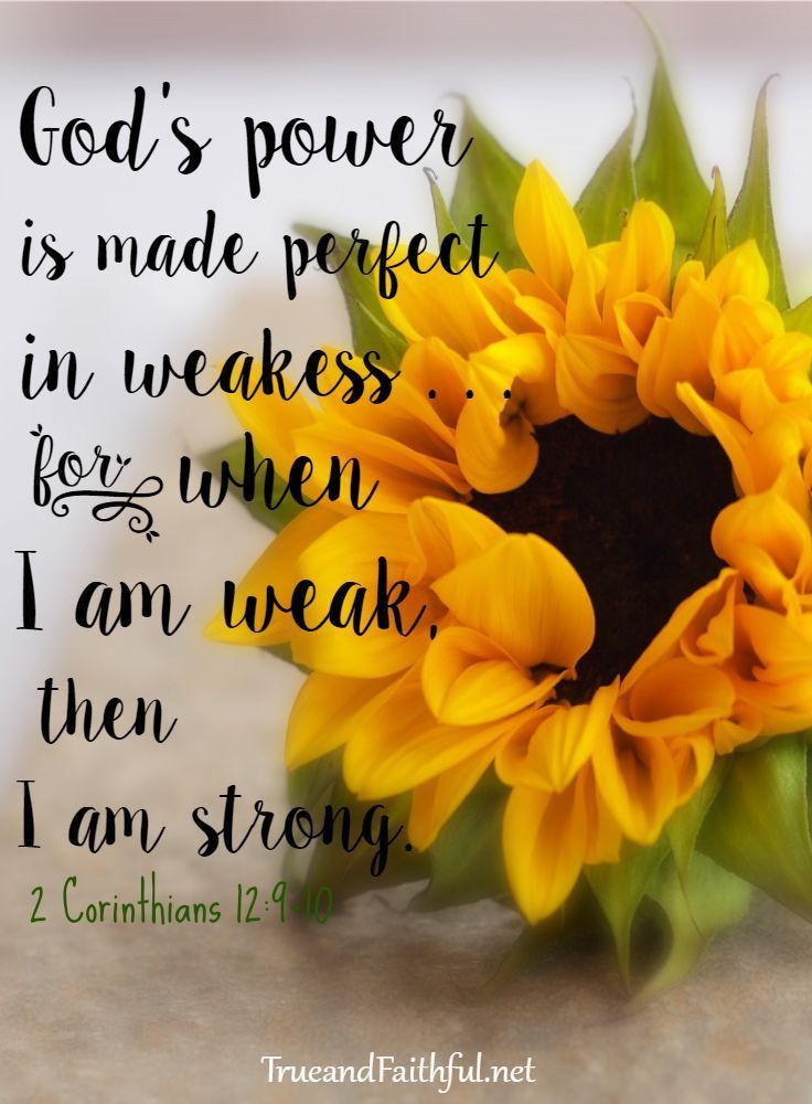 a sunflower with the words god's power is made perfect in wakes for when i am weak, then i am strong