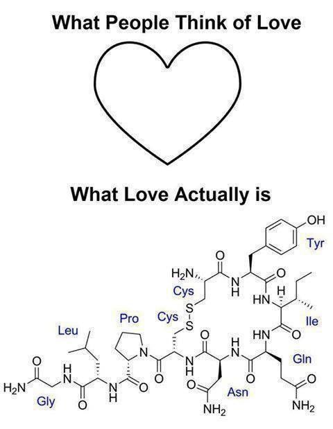 what people think of love and what love actually is in the form of chemical structures