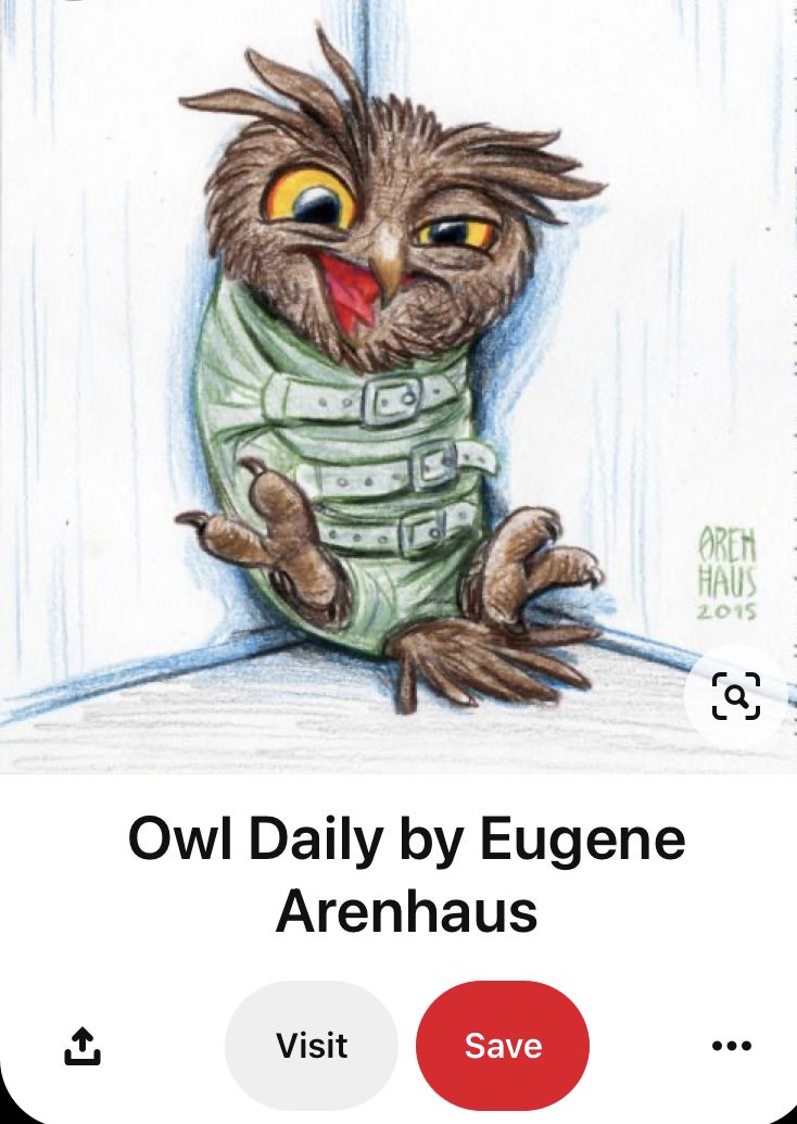 an owl is sitting in front of a window with the words owl daily by eugene arenaius