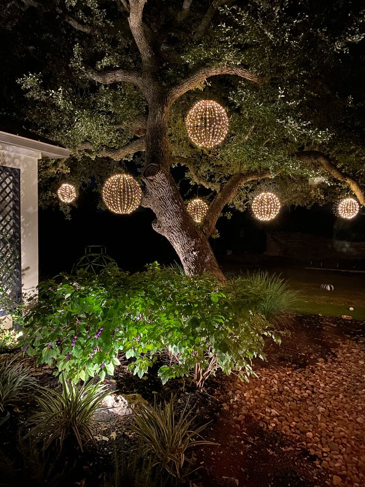 some lights that are hanging from a tree