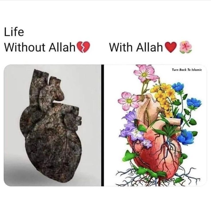 two pictures one with flowers and the other with an image of a heart in it