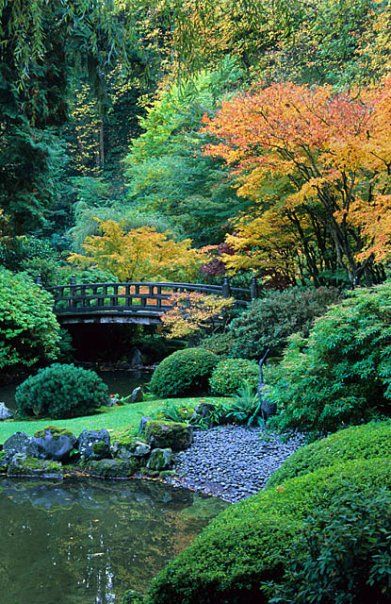 a small bridge over a pond surrounded by trees