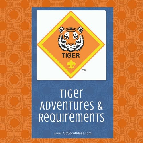 an orange and blue tiger logo with the words tiger adventures & requirementss on it