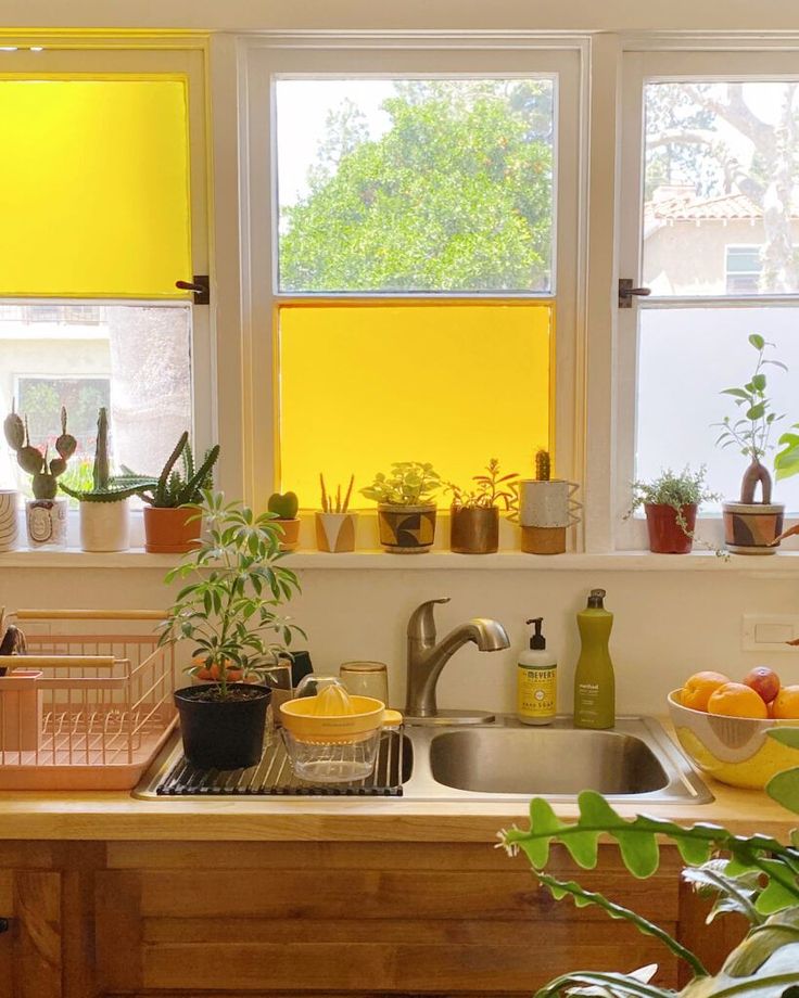 a kitchen with yellow blinds and potted plants in the window sill above the sink