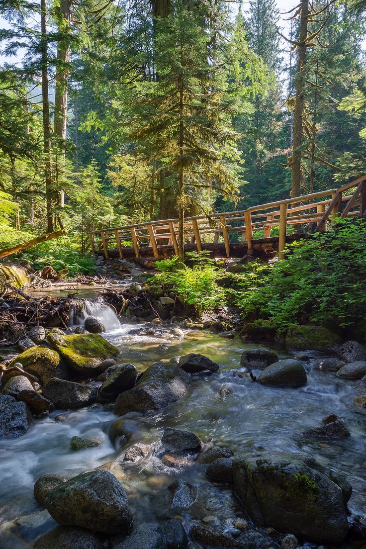 a wooden bridge over a small stream in the woods with rocks and trees around it