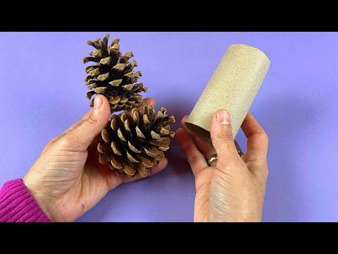 someone is holding a roll of toilet paper next to a pine cone on a purple background