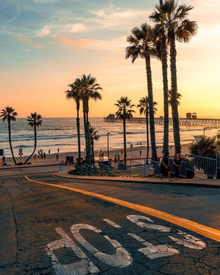 palm trees line the beach as people walk on the sidewalk near the ocean at sunset