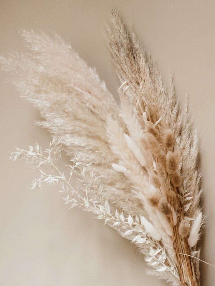 some brown and white plants on a table