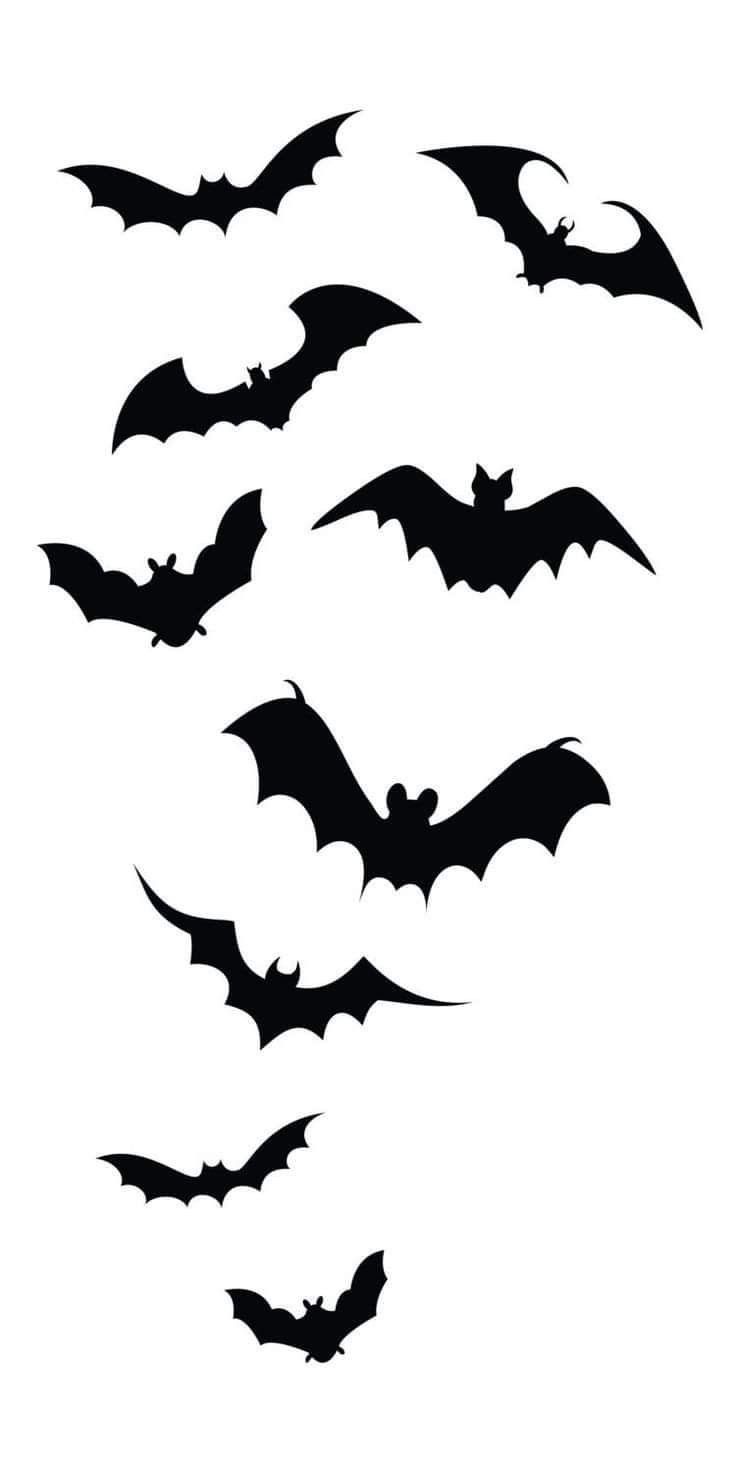 black bats flying in the air on a white background, set of four silhouettes