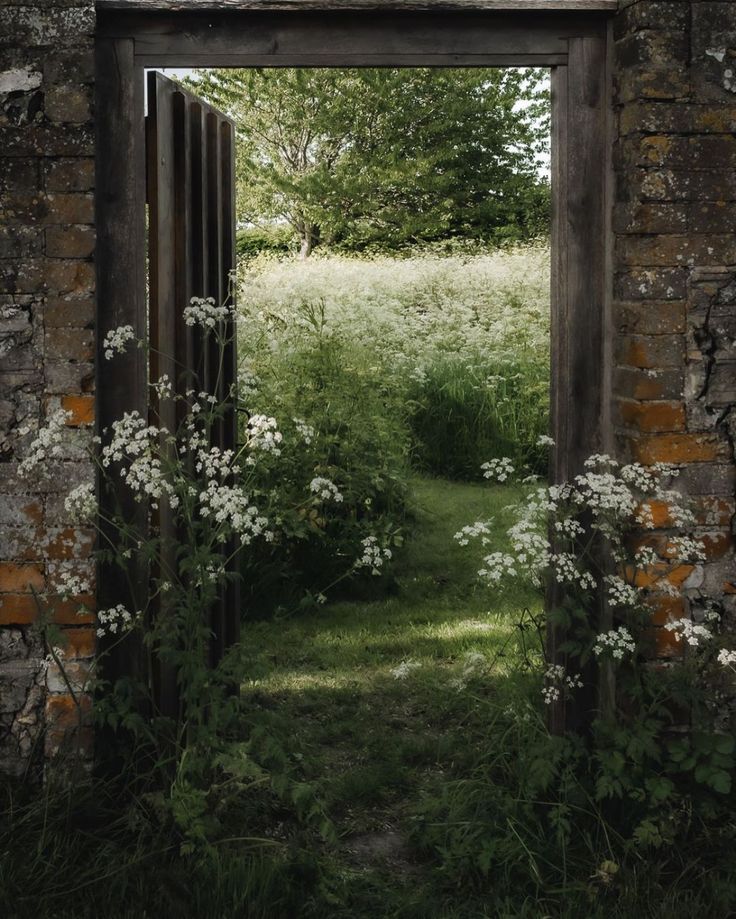 an open doorway with white flowers growing out of it