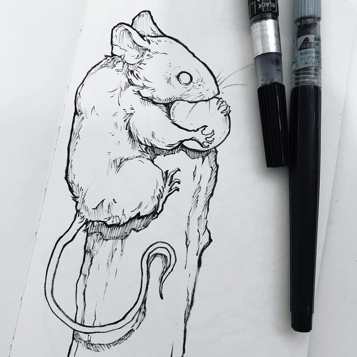 an ink drawing of a rat on top of a piece of paper next to a marker