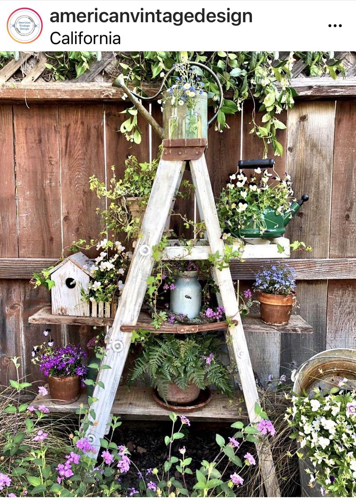 an old ladder is used as a plant stand for potted plants and other flowers