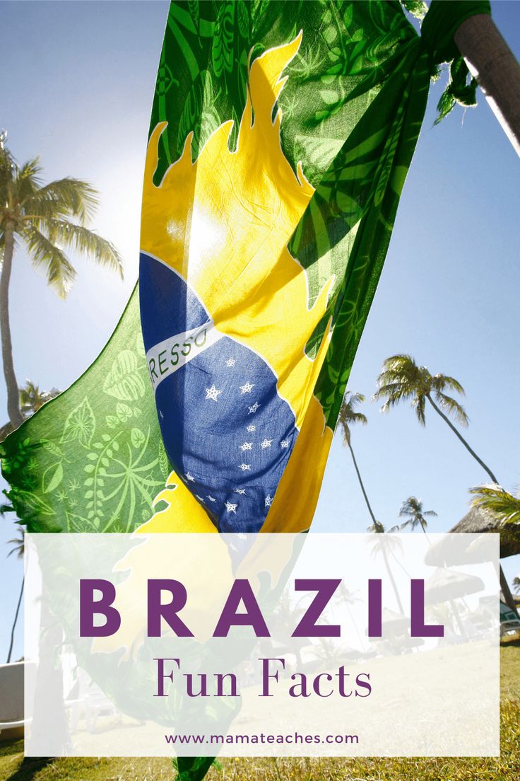 a flag with the words brazil fun fact on it and palm trees in the background