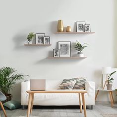 a living room filled with furniture and lots of plants on the wall above it's shelves