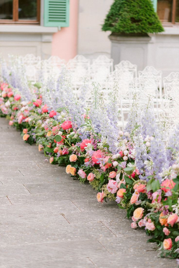 rows of flowers line the side of a building