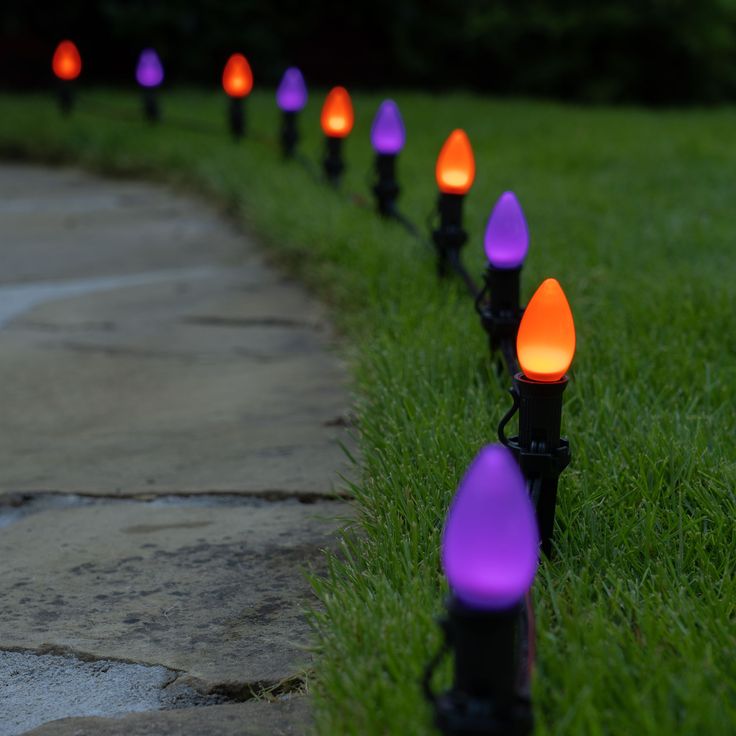 there are many lights on the grass by the road that is lined up in rows