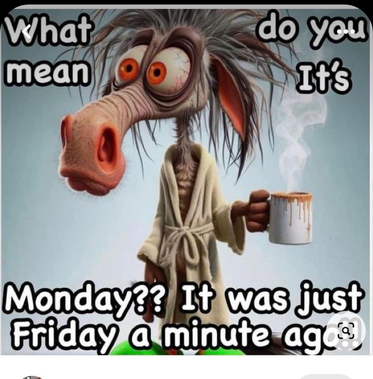 a cartoon character holding a coffee cup with the caption, what do you mean it's monday? it was just friday a minute ago