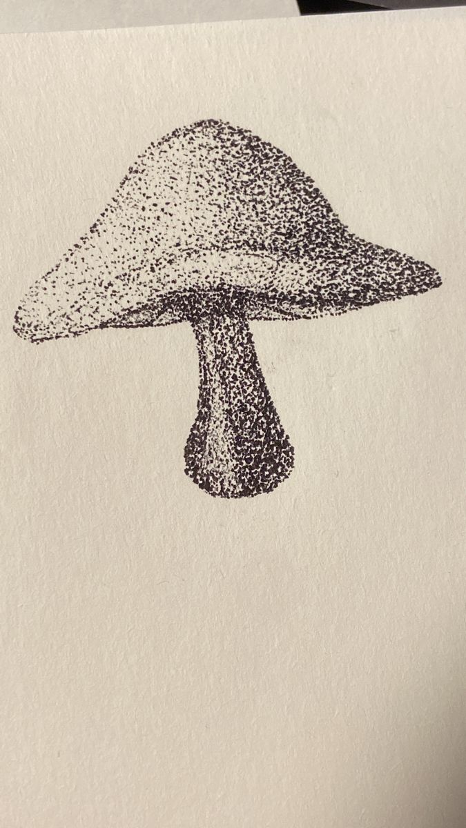 an ink drawing of a mushroom on paper