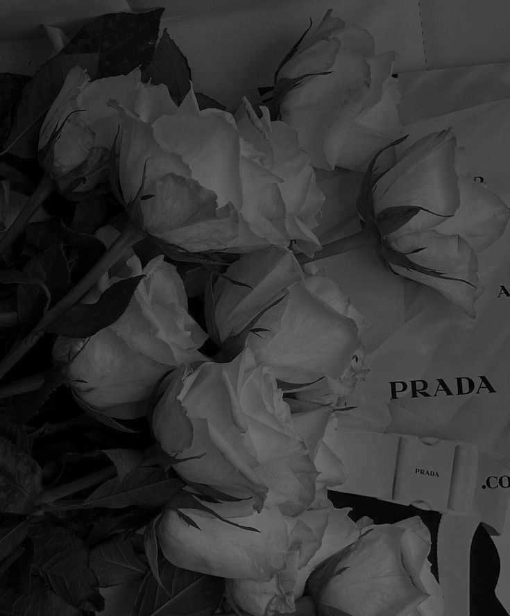 some white roses are laying next to a paper bag with the word prada written on it