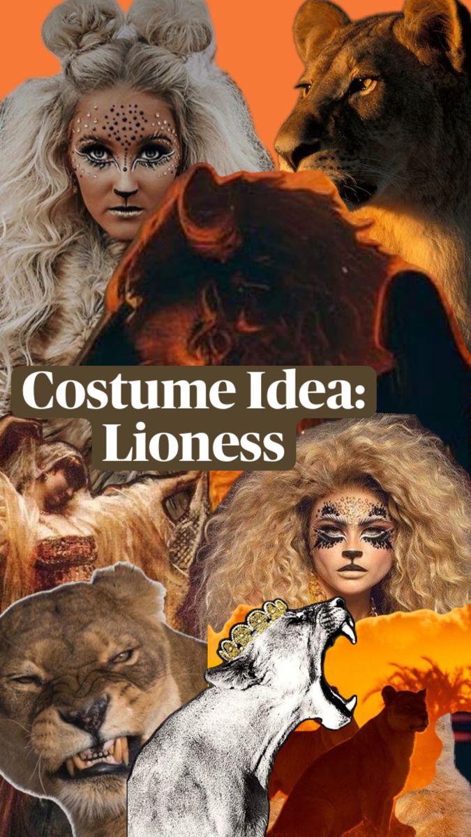 the cover of costume idea lioness, with images of women and animals in their costumes