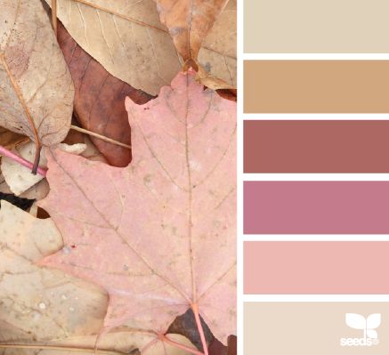 a leaf laying on the ground next to some leaves with different shades of pink and brown