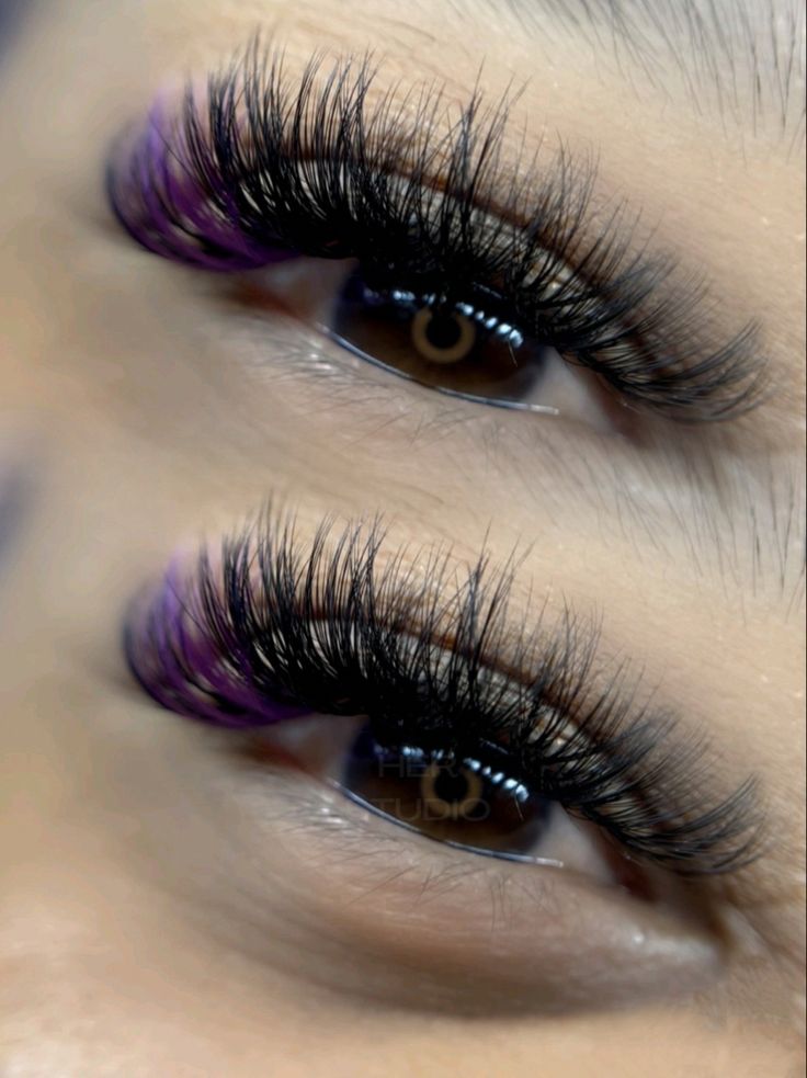 Pretty Lash Extensions Color, Lashes With Purple Ends, Purple Lash Extensions Styles, Lash Color Extensions, Purple Lashes Extensions, Lash Extensions With Purple, Volume Lashes With Color, Purple Lash Room, Volume Lash Extensions With Color