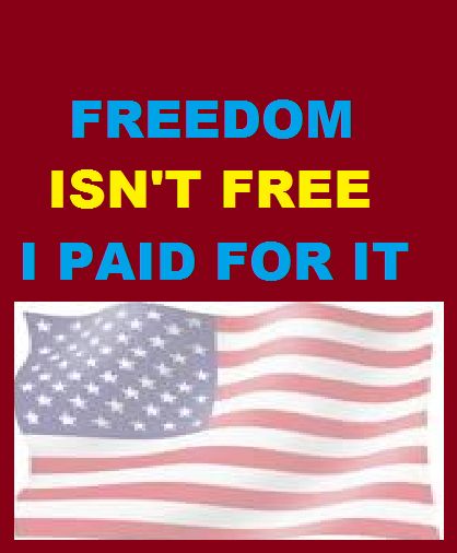 Freedom Isn't Free, We Paid For it; #Freedom #Flag #USA #Products Men Casual Summer, American Freedom, Navy Outfit, Usa Products, Mens Winter Fashion, Dress Shirts For Women, Flag Tshirt, Tops For Women, Sweater Fashion