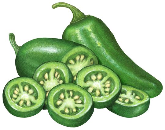 green peppers are shown on a white background