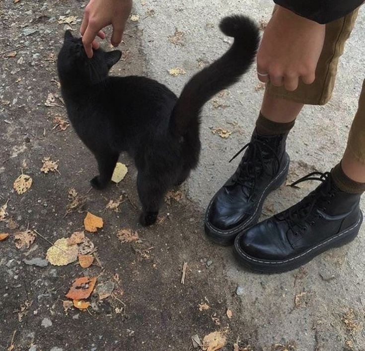 a black cat standing on top of a sidewalk next to a person wearing black shoes