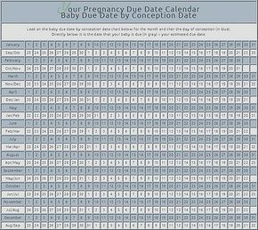 the baby's birth date calendar is shown