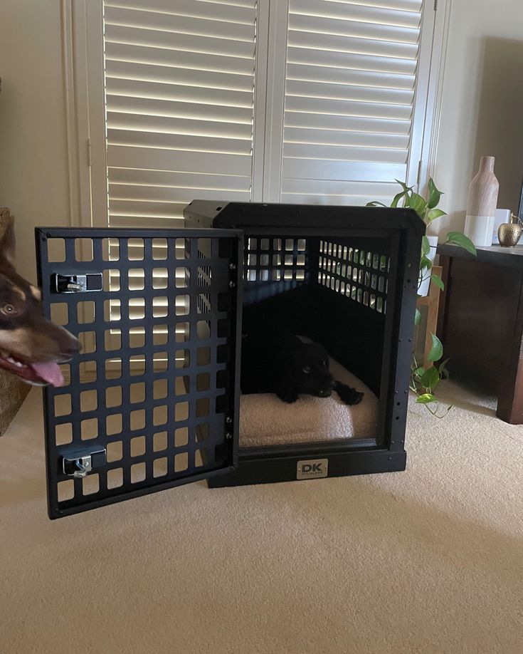 a dog laying in its kennel on the floor