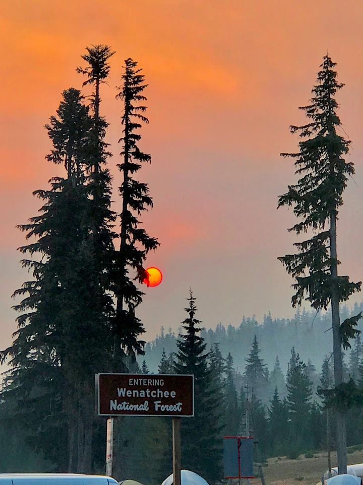 the sun is setting behind some tall trees and cars are parked on the side of the road