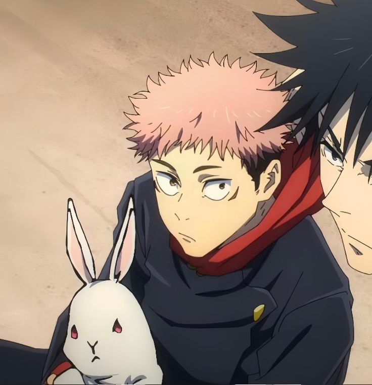 two anime characters one is holding a rabbit