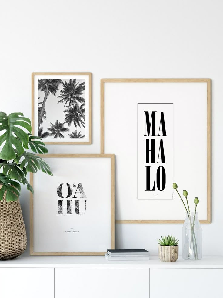 three black and white art prints on a wall above a dresser with a plant in a vase