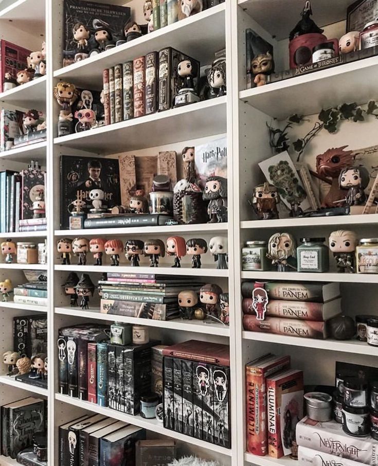 the shelves are filled with many different types of toys and books on them, including dolls