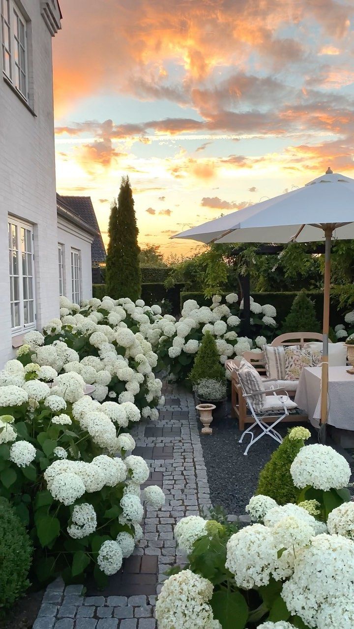 an outdoor dining area with tables, chairs and flowers in the foreground at sunset