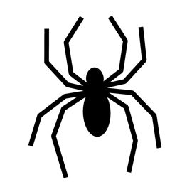 a black and white image of a spider