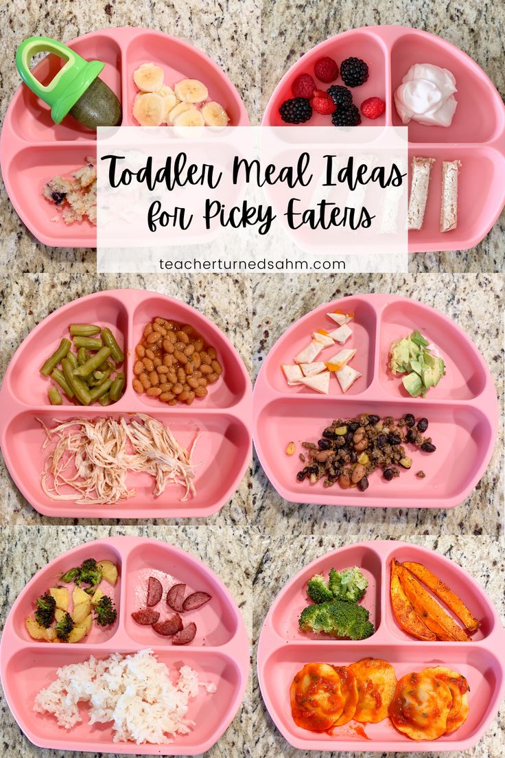 toddler meal ideas for picky eaters