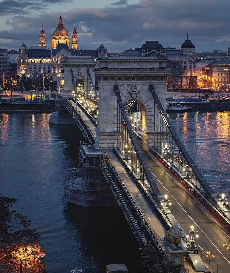 the bridge is lit up at night and has many lights on it's sides