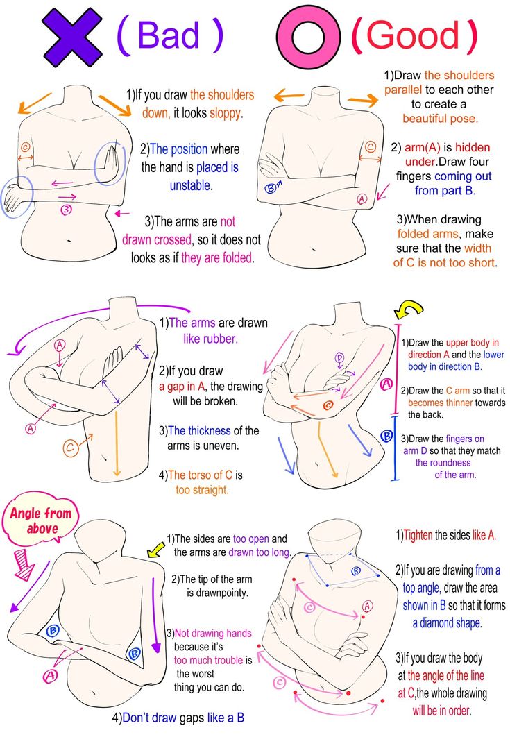 the instructions for how to draw female torsos in different positions and sizes, with text below