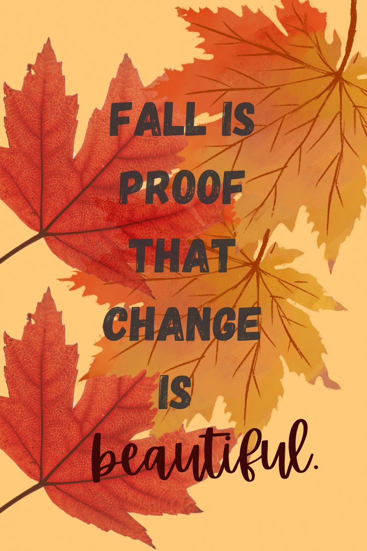 #autumn #autumnquote #quotes #quoteoftheday #quotesaboutlife #quotesdaily #quotesforlife #dailyquote #positivemind #positivethinking Its Fall Quotes, Fall Change Is Beautiful Quote, Harvest Time Quotes, Autumn Beauty Quotes, Fall Is Proof That Change Is Beautiful, First Day Of Fall Quotes, Quotes For Fall, Happy Fall Quotes, Uplifting Inspirational Quotes